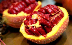 เนื้อผลไม้แช่แข็ง GAC ได้รับการรับรองมาตรฐาน BRC HACCP ขายส่งจากเวียดนาม - Product Image 5