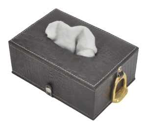 Porta Servilletas de Cuero Genuino con Diseño de Brida de Caballo Dorada, Dispensador Decorativo de Pañuelos, Caja para Servilletas, Suministros para Eventos, Decoración de Mesa - Product Image 1