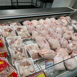 ตีนไก่แช่แข็ง เกรด A สำหรับการส่งออกขายส่ง - Product Image 3
