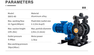 GODO DBY3-40L High Quality <strong>Electric</strong> Diaphragm <strong>Pump</strong> EODD <strong>Pumps</strong> for <strong>Water</strong> Treatment and Irrigation Liquid Extraction Machine <strong>Pump</strong> - Product Image 5