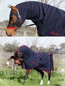 Manta para Caballo, Manta Clásica Ecuestre 1600D, Manta para Caballo de Establos con Correas, Equipo Ecuestre de Alta Calidad - Product Image 3