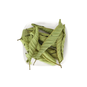 Venta al por mayor de fábrica: Bolsas de té de hoja de guayaba de primera calidad, infusión herbal de Vietnam - Product Image 3
