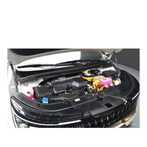 Kia Carnival HEV 9 places, Limousine haut de gamme, 57 411 km, Boîte automatique, Sièges en cuir, Caméra de recul, Conduite à gauche, Modèle 2024/5 - Product Image 6