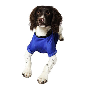 Robes pour chiens en maille unie bleue à imprimé animal, respirantes, pour les loisirs, toutes saisons, lavage à la main uniquement - Product Image 2