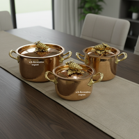 Ensemble de casseroles de luxe en acier inoxydable martelé à la main, design européen écologique, poignées en acier inoxydable, qualité gastronomique