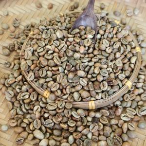 METRANG Exportación al por Mayor de Granos de Café Robusta Verdes S16 de la Más Alta Calidad, Alta Tasa de Maduración, Materia Prima Perfecta para Espresso - Product Image 2