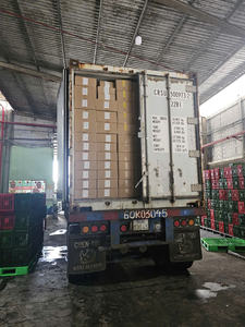 Tranches de mangue séchée en vrac, mangue séchée douce et juteuse, collation saine, texture délicieuse, mangues mûres et moelleuses - Product Image 5