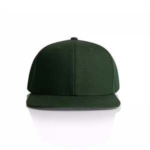 Gorra Unisex de 6 Paneles con Cierre a Presión, Color Verde Sólido, Algodón, Ajustable, Estilo Casual, para Adultos, Uso en las Cuatro Estaciones - Product Image 1