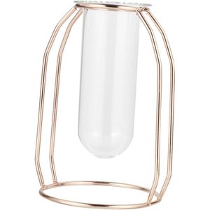 Vase en verre créatif pour hydroponie avec cadre métallique pour la décoration de la maison et du bureau - Jardinière pour tulipes, roses, branches - Product Image 1