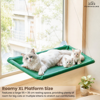 Hamac pour chat à fixer sur fenêtre avec ventouses à bouton de verrouillage