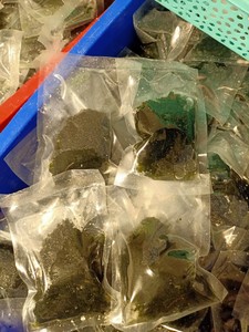 Meilleur Prix Raisins de Mer Déshydratés Vente en Gros Algues Séchées Vietnam 2026 - Product Image 6