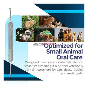 Juego de Sondas y Raspadores Dentales Profesionales y Versátiles de Acero Inoxidable Premium, Antideslizantes y Equilibrados para Procedimientos Odontológicos - Product Image 4