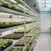 Machine de semis automatique pour grandes bacs de semis avec remplissage de terre, ligne de semis et table d'irrigation goutte à goutte à flux et reflux pour bacs de légumes