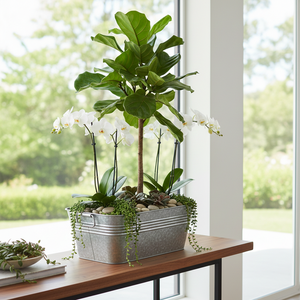 Pot de fleurs Headway Crafts pour décoration intérieure et extérieure - Rectangulaire Gris - 7 pouces - Product Image 4