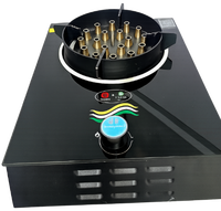 Table de cuisson électrique portable à plasma, brûleur unique, 3,0 kW, surface en verre, classe d'efficacité énergétique, garantie 1 an