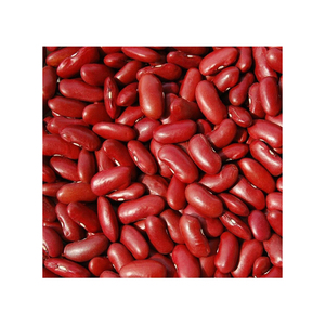 ถั่วแดงจากโรงงานโดยตรง พร้อมจำหน่ายสำหรับการสั่งซื้อจำนวนมากเพื่อการส่งออก - Product Image 4