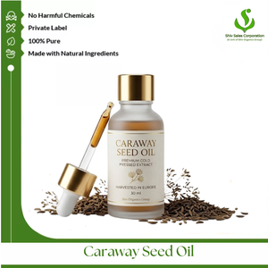 Superior Caraway Seed Oil for Cosmetic Manufacturing Companies and Worldwide Marketplace Bulk Distribution Solutions - Product Image 1