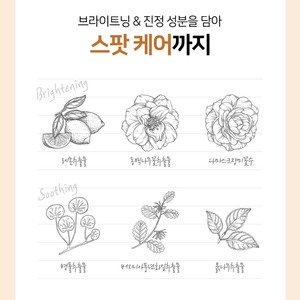 คอนซีลเลอร์เกาหลี K-Beauty Perfect Cover Natural 2.2 กรัม ใช้งานง่ายใน 10 วินาที - Product Image 6