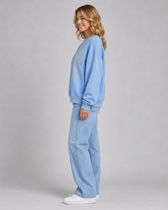 Sudadera Oversize Azul Claro con Pedrería y Estampado de Cisne con Lentejuelas para Mujer, Hombros Caídos, Cuello Redondo, 100% Algodón Tejido, Otoño - Product Image 4