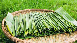 Pajitas Desechables Ecológicas de Alta Calidad Hechas de Hierba y Bambú Opción Ms.May - Product Image 5