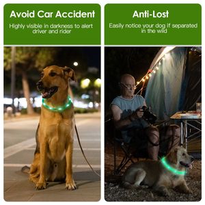 Collare per Cani LED Ricaricabile USB, Illuminazione Multicolore, Lunghezza Regolabile, Collare di Sicurezza per Cani Piccoli, Medi e Grandi - Product Image 6