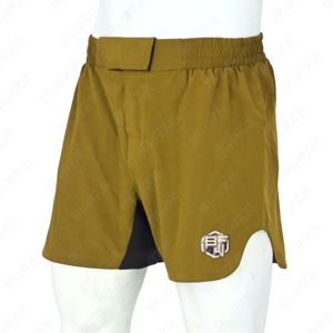 Blaze Fight Wear OEM Pantalones cortos de color sólido con cintura elástica cómoda para hombre de alta calidad - Product Image 3