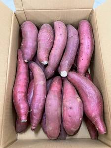 Verduras Frescas de Calidad Superior: Hojas de Camote Japonés, Rábano, Repollo y Brócoli - Product Image 4