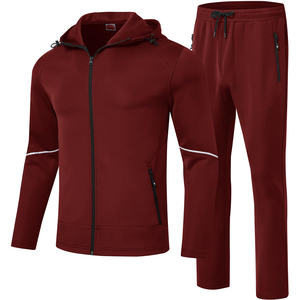 Polo personnalisé pour homme, faible MOQ, coupe simple, survêtement en molleton de bonne qualité, grandes tailles, coupe ajustée, survêtement de jogging de haute qualité, vêtements de sport - Product Image 1