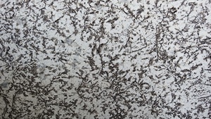 Granito exótico pulido de calidad de exportación, elegante y natural, con movimiento de flor azul, moderno y de gran calidad. - Product Image 2