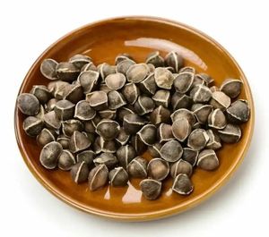 Graines de Moringa Oleifera Premium 100% Pures et Naturelles, Graines de Moringa Brutes, Non-OGM, Sans Produits Chimiques, Sans Additifs - Product Image 1