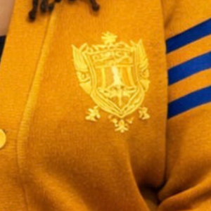 Custom SGRHO <b>Cardigan</b> Sigma Gamma Rho Women's Greek Sorority Embroidered Button Up Knit Sweater Casual Fashion Wholesale Apparel - Product Image 4