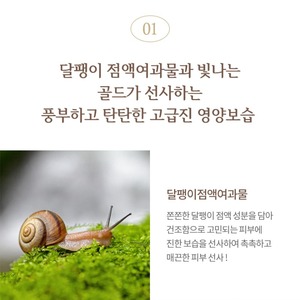 Masque facial fonctionnel coréen Winage K-Beauty Golden Snail Niacinamide 21ml X 10ea - Product Image 4