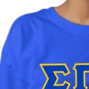 เสื้อยืดแขนยาวพิมพ์ลายตัวอักษร Sigma Gamma Rho สำหรับผู้หญิง เสื้อยืดคอกลมสไตล์กรีก สำหรับชมรมนักศึกษา  เสื้อผ้าลำลองแนวสตรีทแวร์  รับทำโลโก้ตามสั่ง ขายส่ง - Product Image 3