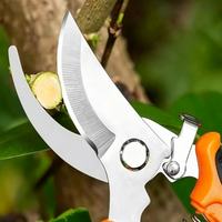 Sécateur de jardin, ciseaux de taille pour arbres fruitiers et arbustes, outils de jardinage