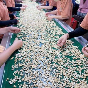 Factory Direct SANTIGO <b>Nuts</b> <b>Kernels</b> Broken Kaju Kaju Cashew <b>Nuts</b> FREE Tax Origin Vietnam - Product Image 6
