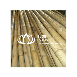 Varillas de Bambú de Primera Calidad, Corte Medio, Color Azul Lotus (50cm de Largo, 5-6mm de Diámetro) para la Construcción de Cometas en Pakistán - Product Image 1