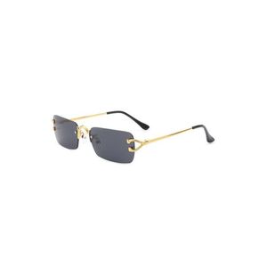 Occhiali da Sole Senza Montatura Rettangolari Retrò con Lenti Colorate - Product Image 5