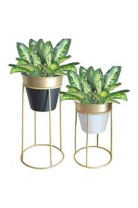 Soporte decorativo, soporte para macetas de sala de estar, elegante soporte para jardín interior, soporte para plantas de metal dorado, decoración interior. - Product Image 3