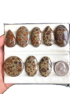 Cabujón de Jaspe Asteroidal, Gema Semipreciosa Natural para Joyería, Astroita, Piedra de Nacimiento, Joyería Hecha a Mano, Regalo para Seres Queridos - Product Image 3