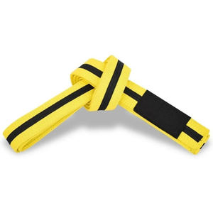 Ceinture de Taekwondo jaune avec rayures noires, durable, unisexe, pour arts martiaux - Product Image 5
