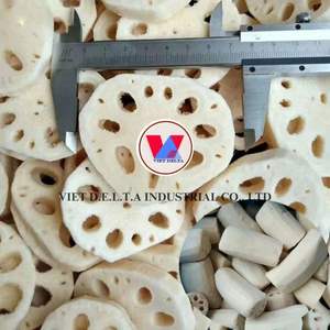 Raíz de Loto en Rodajas Enlatada Premium, Fresca y Crujiente, Calidad de Exportación, Precio Competitivo - Product Image 1