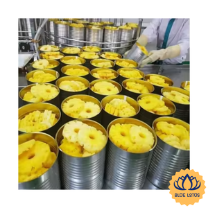 [VENTA EXITOSA] |   Piña en Rodajas Enlatada al por Mayor, Suministro de Fruta Tropical para Toppings de Pizza y Repostería de Vietnam - Product Image 1