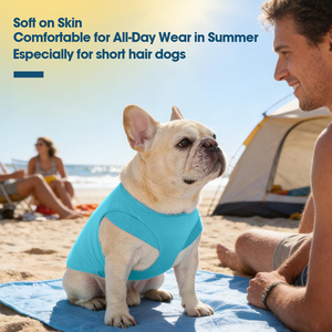 Ropa de verano para mascotas: Camiseta para perro con patrón sólido, chaleco para cachorro con logo y diseño personalizados, ropa para gato de tela suave, prendas lisas al por mayor. - Product Image 4