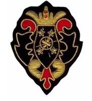 Insignia de bolsillo para blazer de estudiantes de medicina, bordada a mano con hilo de bullion, sin níquel, resistente al agua, ecológica, con relieve 3D, de lujo OEM