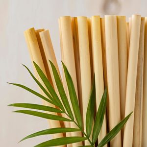 Pajitas de Bambú con Logotipo Personalizado, 100% Bambú Natural, Desechables, Biodegradables, Libres de BPA, para Restaurantes, Fiestas y Bares - Product Image 3