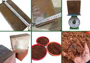 Bloc de fibre de coco du Vietnam 5 kg – Substrat de culture écologique et extensible pour la maison et la ferme - Product Image 6