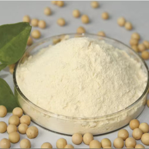 Concentré de protéines de soja Protéine végétale naturelle Qualité alimentaire Vente en gros pour la fabrication alimentaire industrielle - Product Image 2