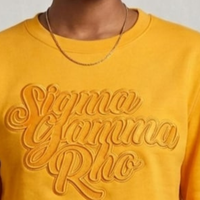 Pull court à col ras du cou Sigma Gamma Rho Gold on Gold en maille premium, sweat-shirt court tendance pour femme, style streetwear