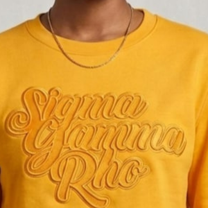 Pull court à col ras du cou Sigma Gamma Rho Gold on Gold en maille premium, sweat-shirt court tendance pour femme, style streetwear - Product Image 5