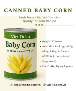 Maïs vapeur en conserve de haute qualité, trempé dans de la saumure, adapté aux repas pour bébés - Product Image 5